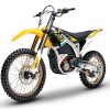 SurRon Storm Bee